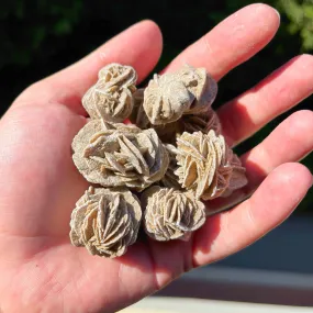 Desert Rose Selenite Clusters